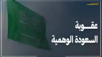 لهذا السبب تخسر فرصتك! خبير يوضح كيف يحرمك التسجيل الوهمي بالتأمينات من برامج التدريب والتوظيف 1